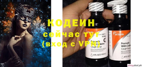 прущие грибы Богородск